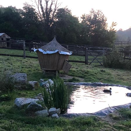 Le Champ Des Possibles Bed and Breakfast Manerbe Εξωτερικό φωτογραφία