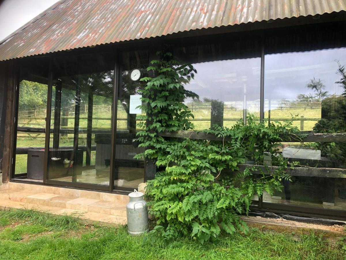Le Champ Des Possibles Bed and Breakfast Manerbe Εξωτερικό φωτογραφία