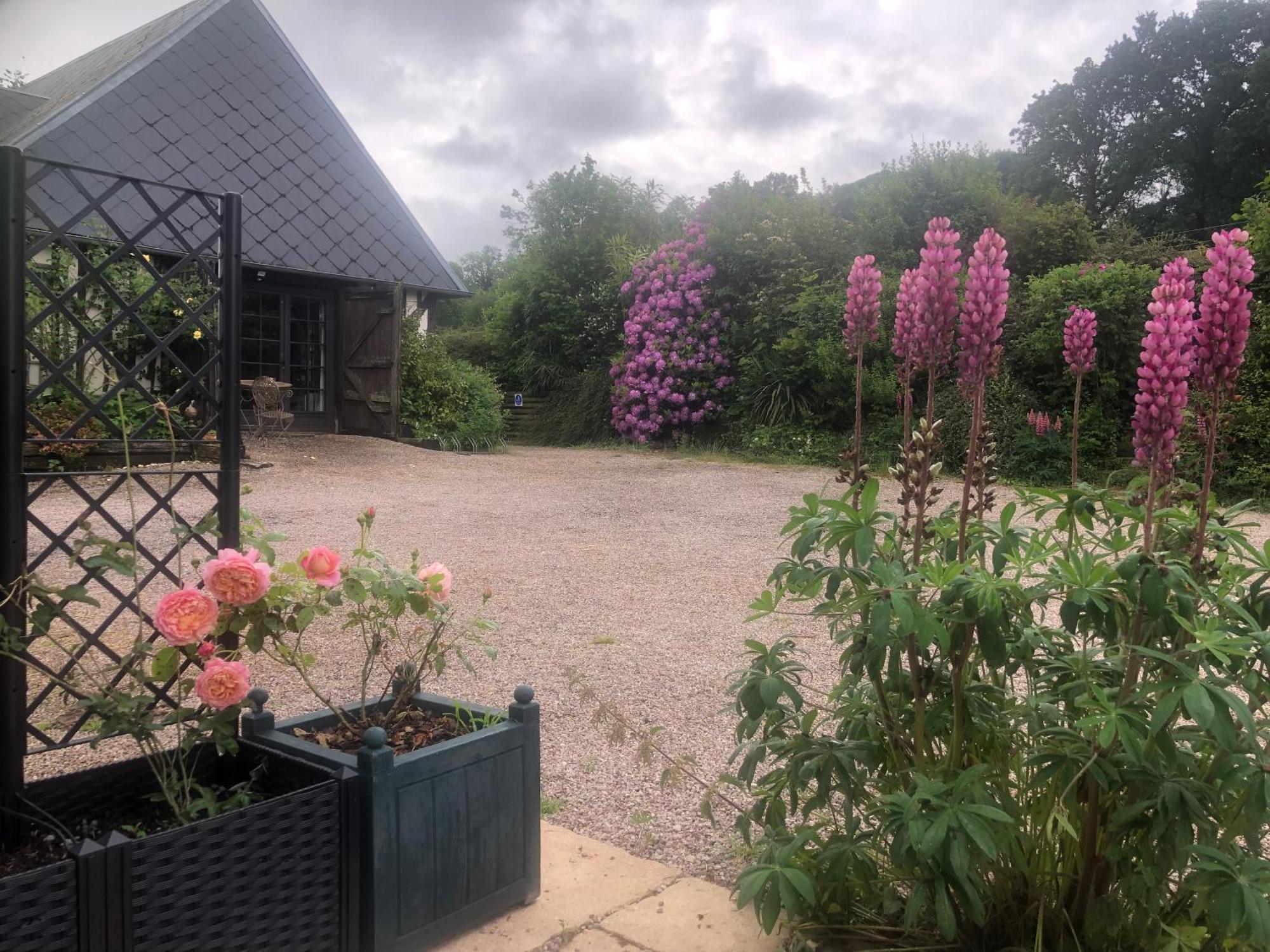 Le Champ Des Possibles Bed and Breakfast Manerbe Εξωτερικό φωτογραφία