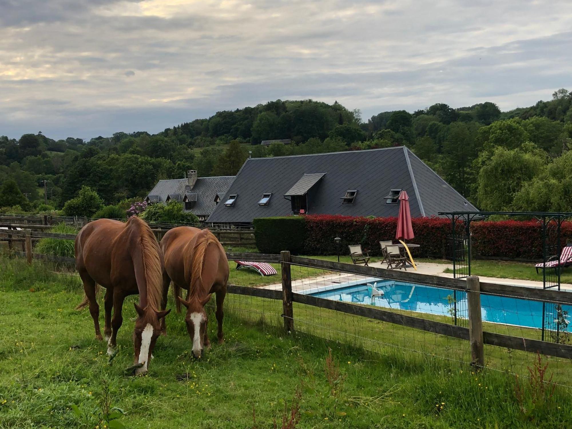 Le Champ Des Possibles Bed and Breakfast Manerbe Εξωτερικό φωτογραφία